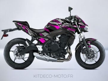 Buy Kawasaki Z650 Graphic Kit for Motorcycle - Motorcycle Graphic