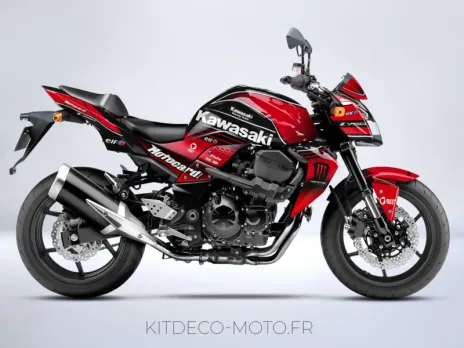 Buy Kawasaki Z750 Graphic Kit for Motorcycle - Motorcycle Graphic